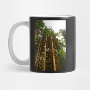 Pine Tree Trunks Mug